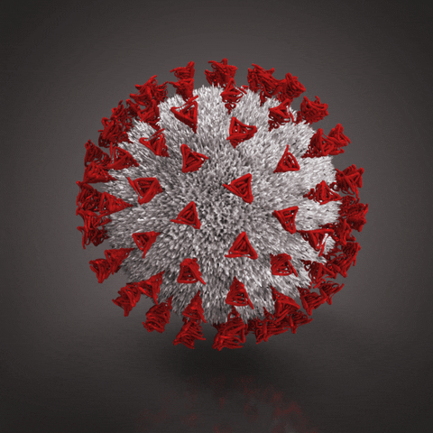 Coronavirus COVID-19